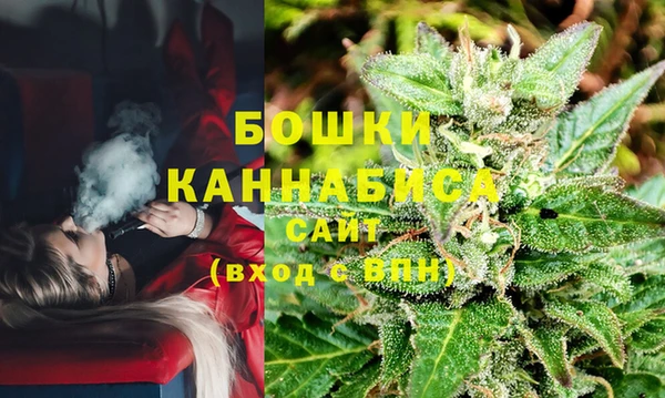 дмт Магас