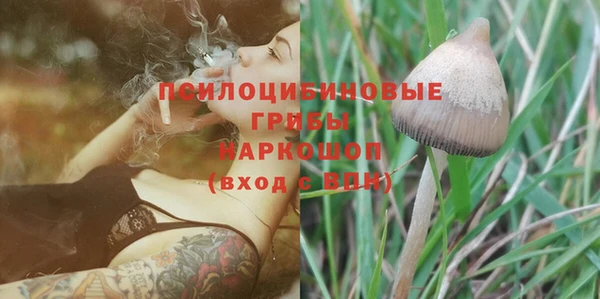 дмт Магас