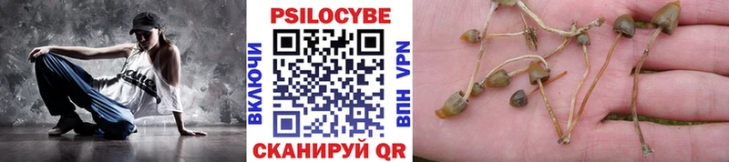 Псилоцибиновые грибы мухоморы Купить Кондопога